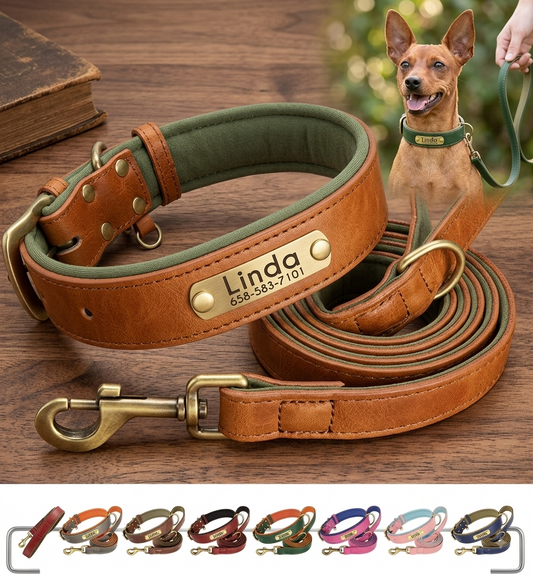 Personalized Leather Dog Collar and Leash Set