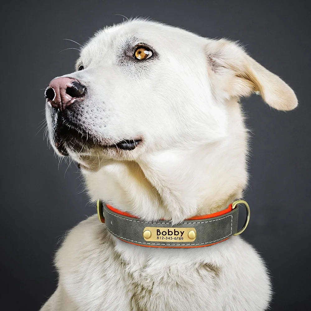 Personalized Green Leather Dog Collar with Name & Phone Number