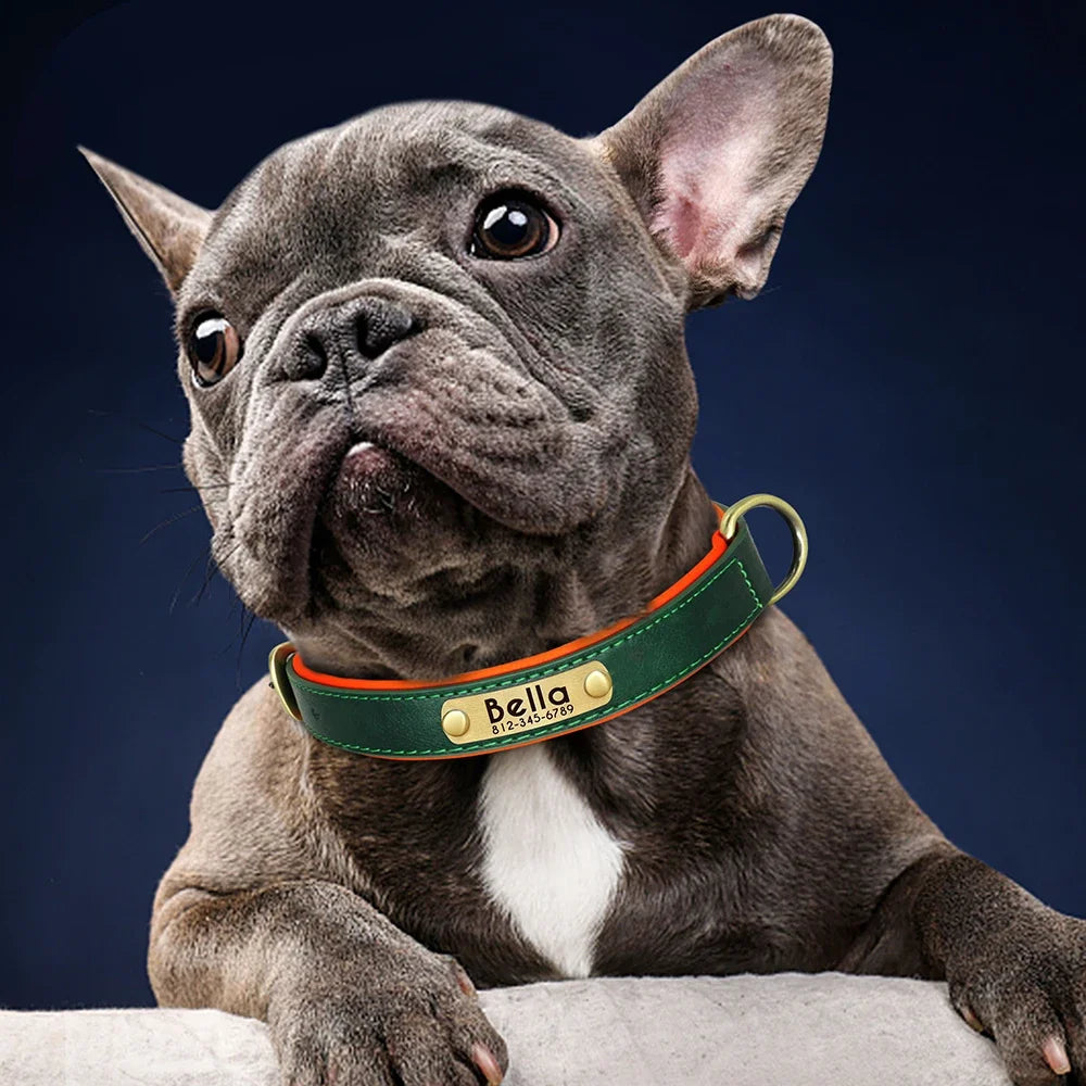 Personalized Green Leather Dog Collar with Name & Phone Number