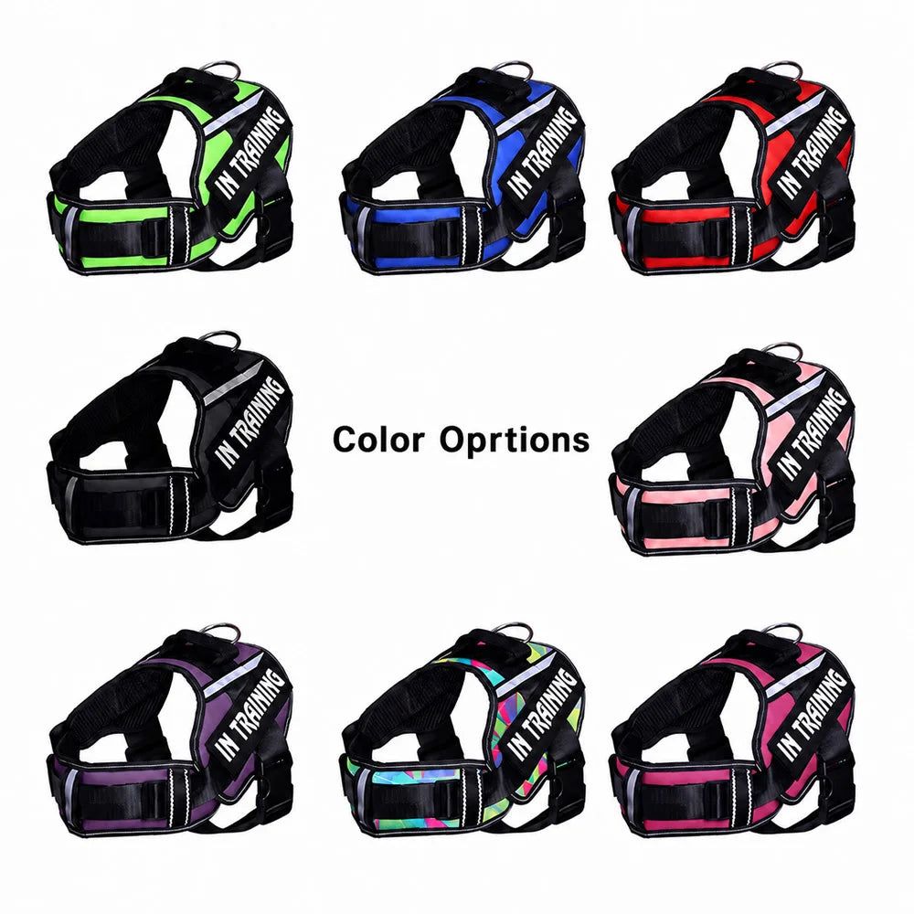 Personalized No Pull Dog Harness - Custom Printed Name Patch & Phone Number
