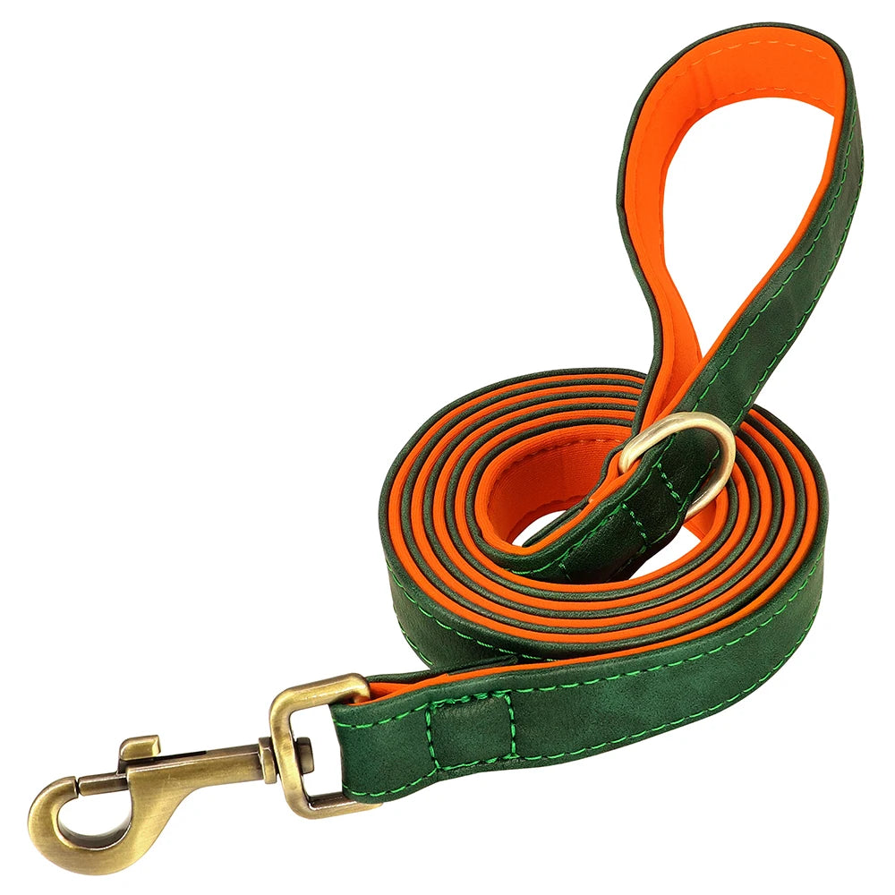 Personalized Leather Dog Collar & Leash Set