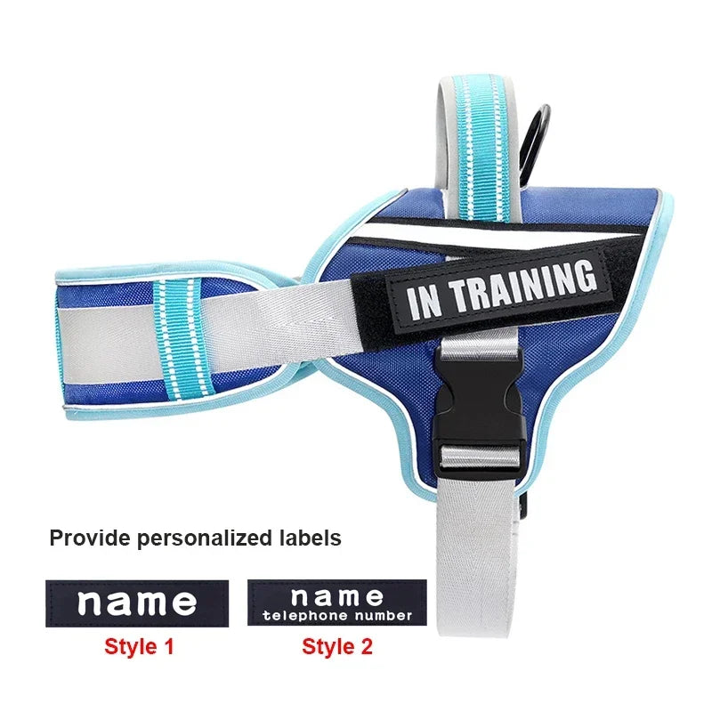 Personalized No Pull Dog Harness - Custom Printed Name Patch & Phone Number
