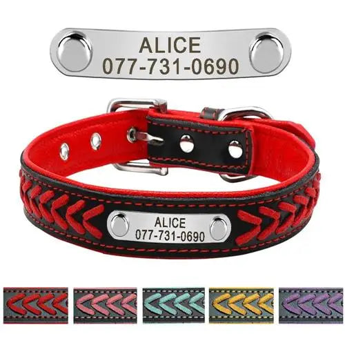 Personalized Pink & Black Dog Collar with Name & Phone Number