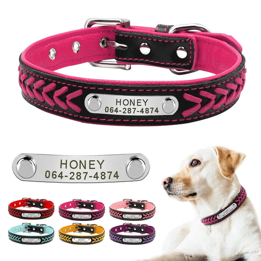 Personalized Pink & Black Dog Collar with Name & Phone Number