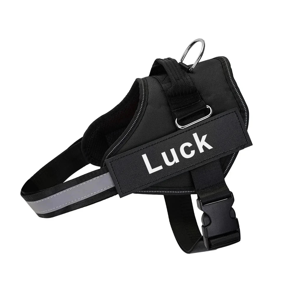 Personalized No Pull Dog Harness - Custom Vest with Name & Phone Number