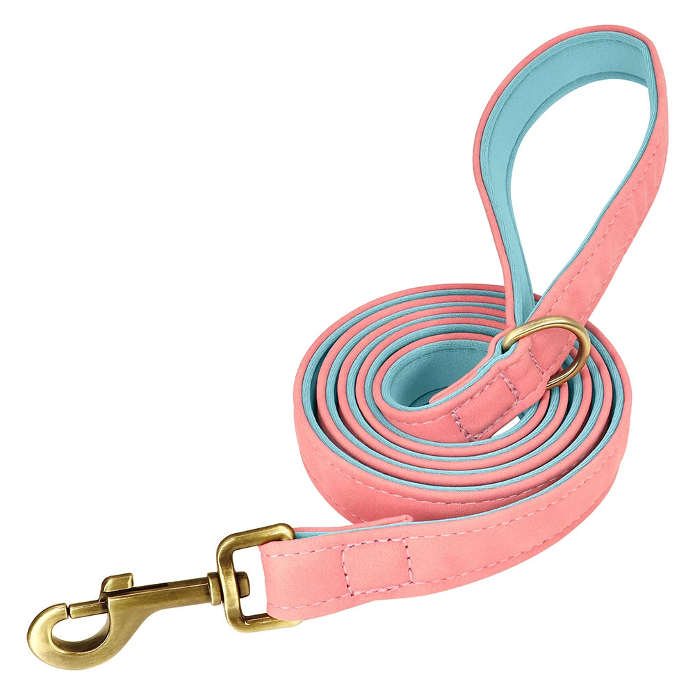 Personalized Leather Dog Collar & Leash Set