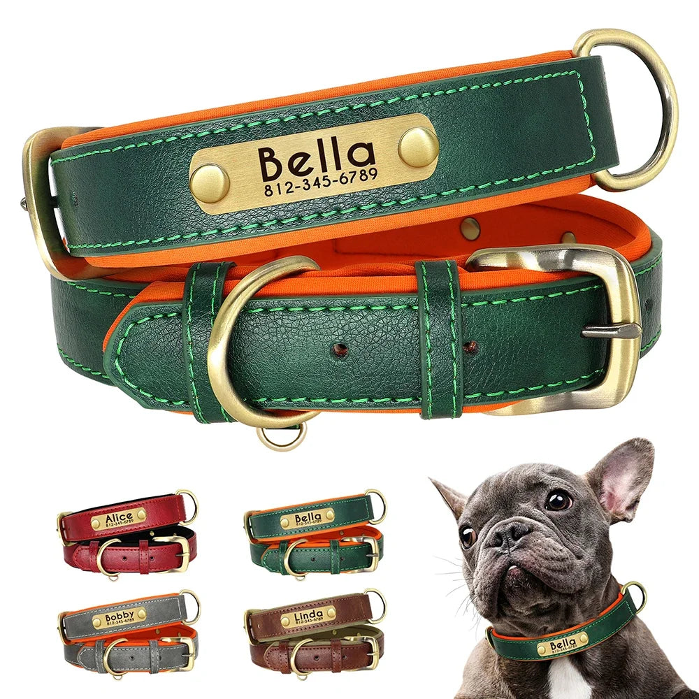 Personalized Green Leather Dog Collar with Name & Phone Number