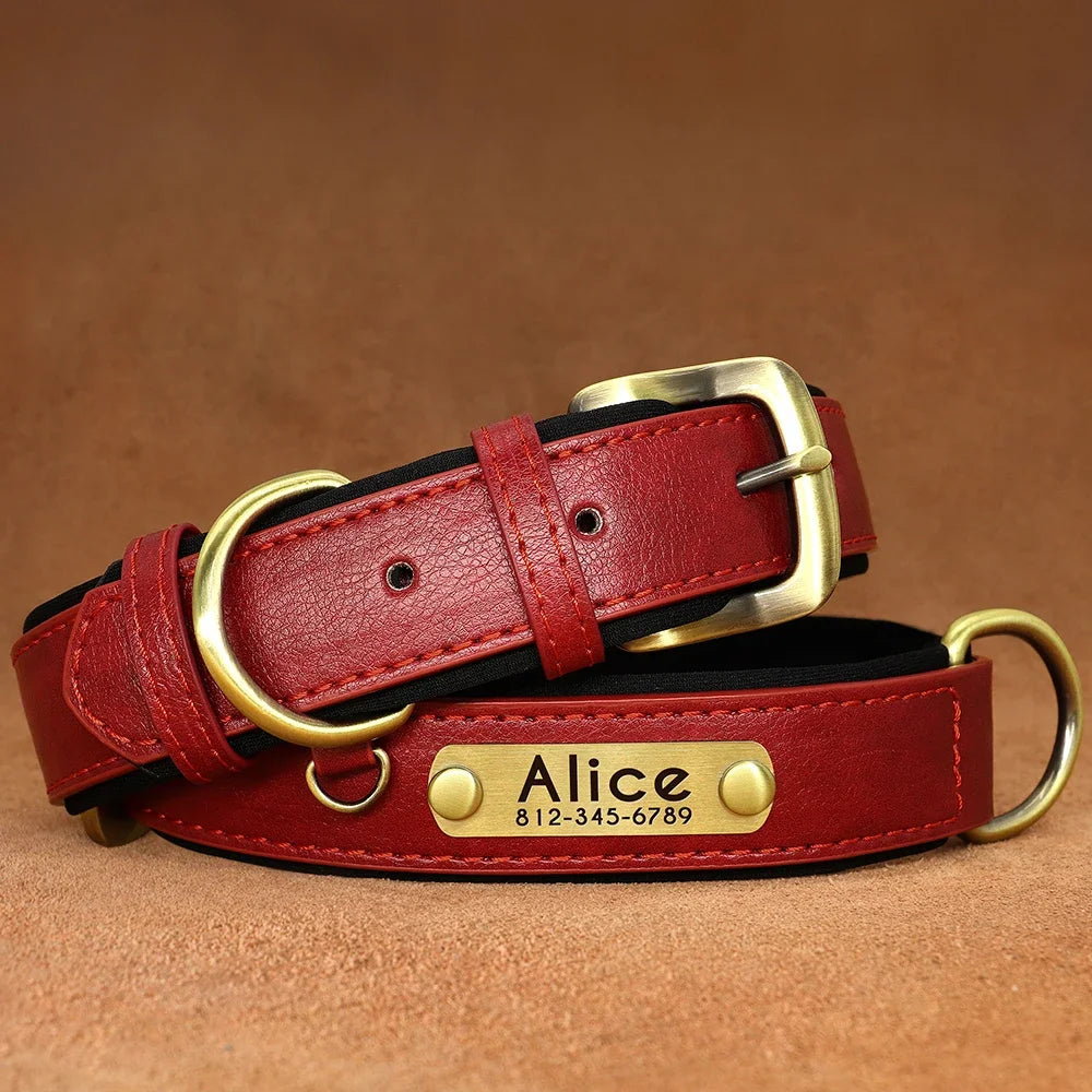 Personalized Green Leather Dog Collar with Name & Phone Number