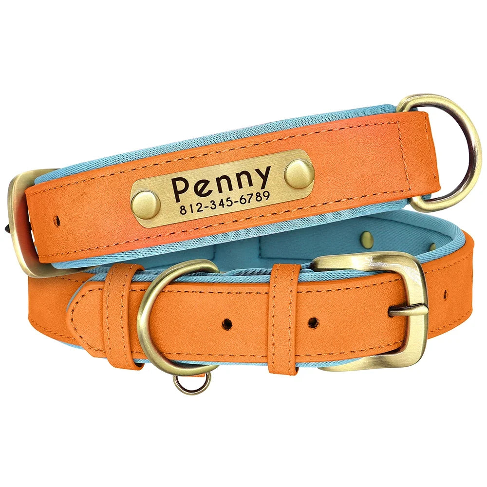 Personalized Green Leather Dog Collar with Name & Phone Number