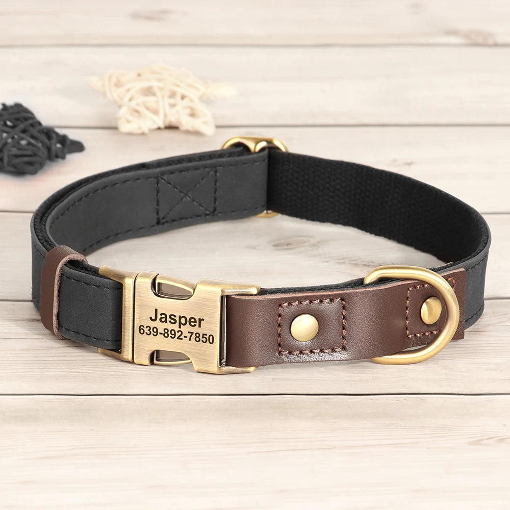 Personalized Dog Collar with Name and Phone Number