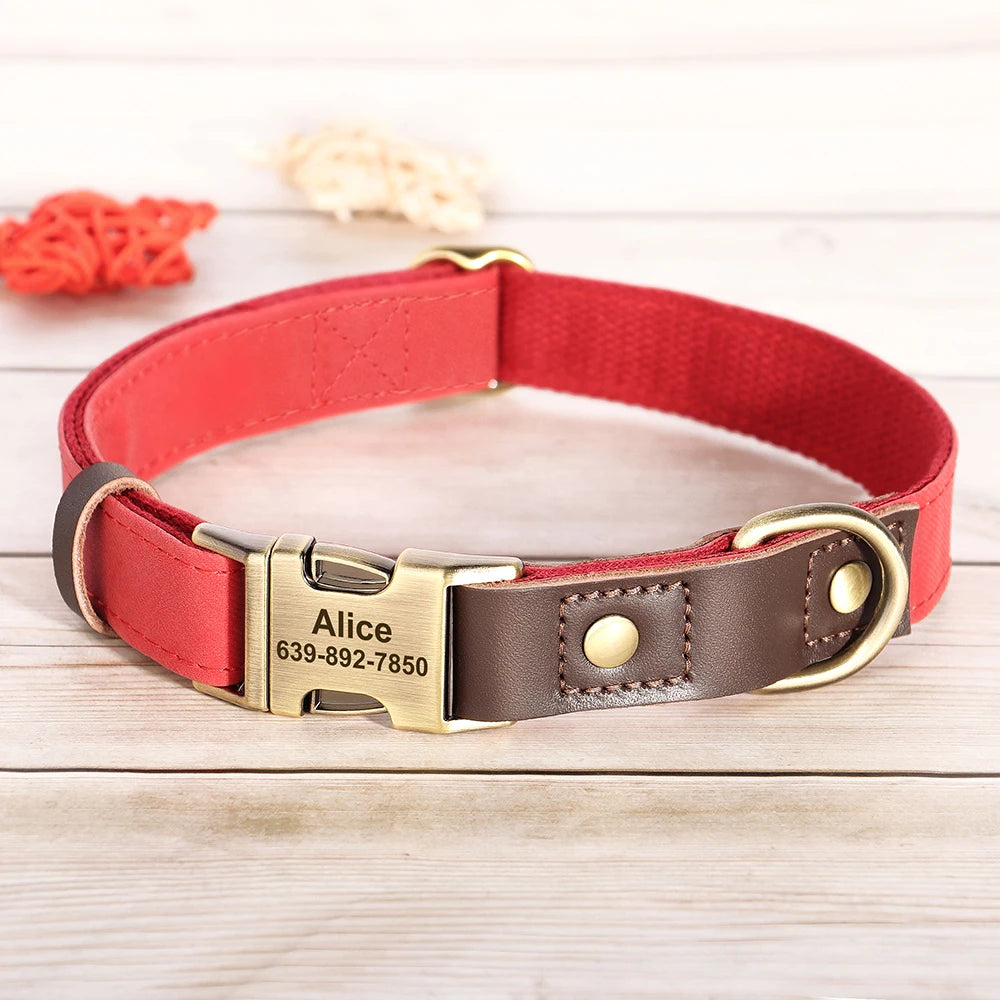 Personalized Dog Collar with Name and Phone Number