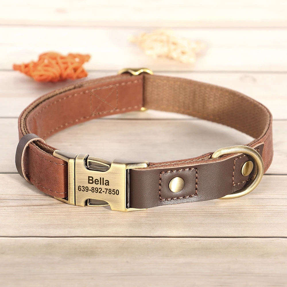 Personalized Dog Collar with Name and Phone Number