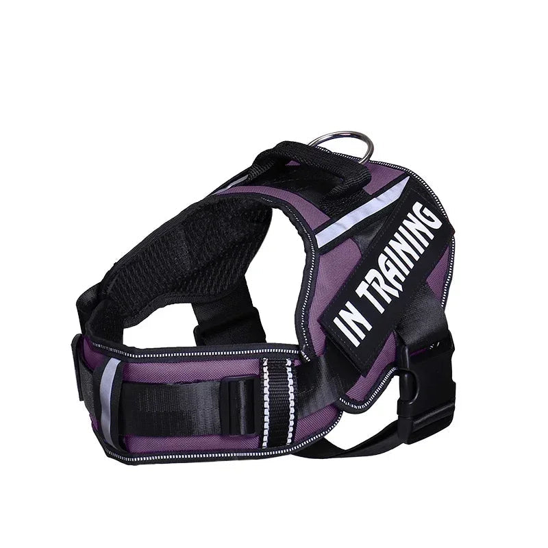Personalized No Pull Dog Harness - Custom Printed Name Patch & Phone Number