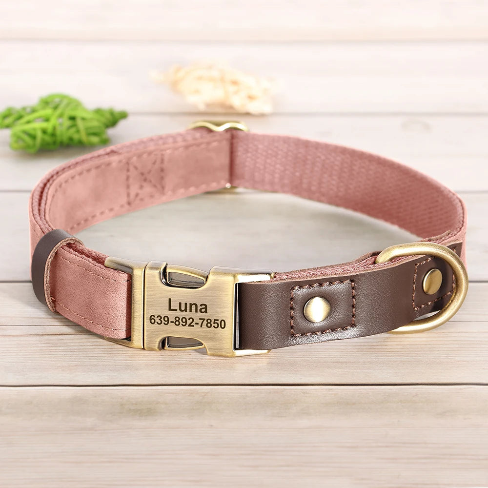 Personalized Dog Collar with Name and Phone Number