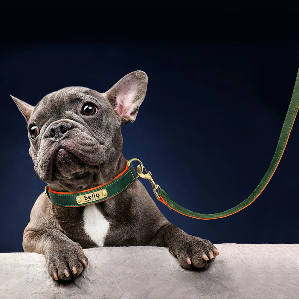 Personalized Leather Dog Collar & Leash Set