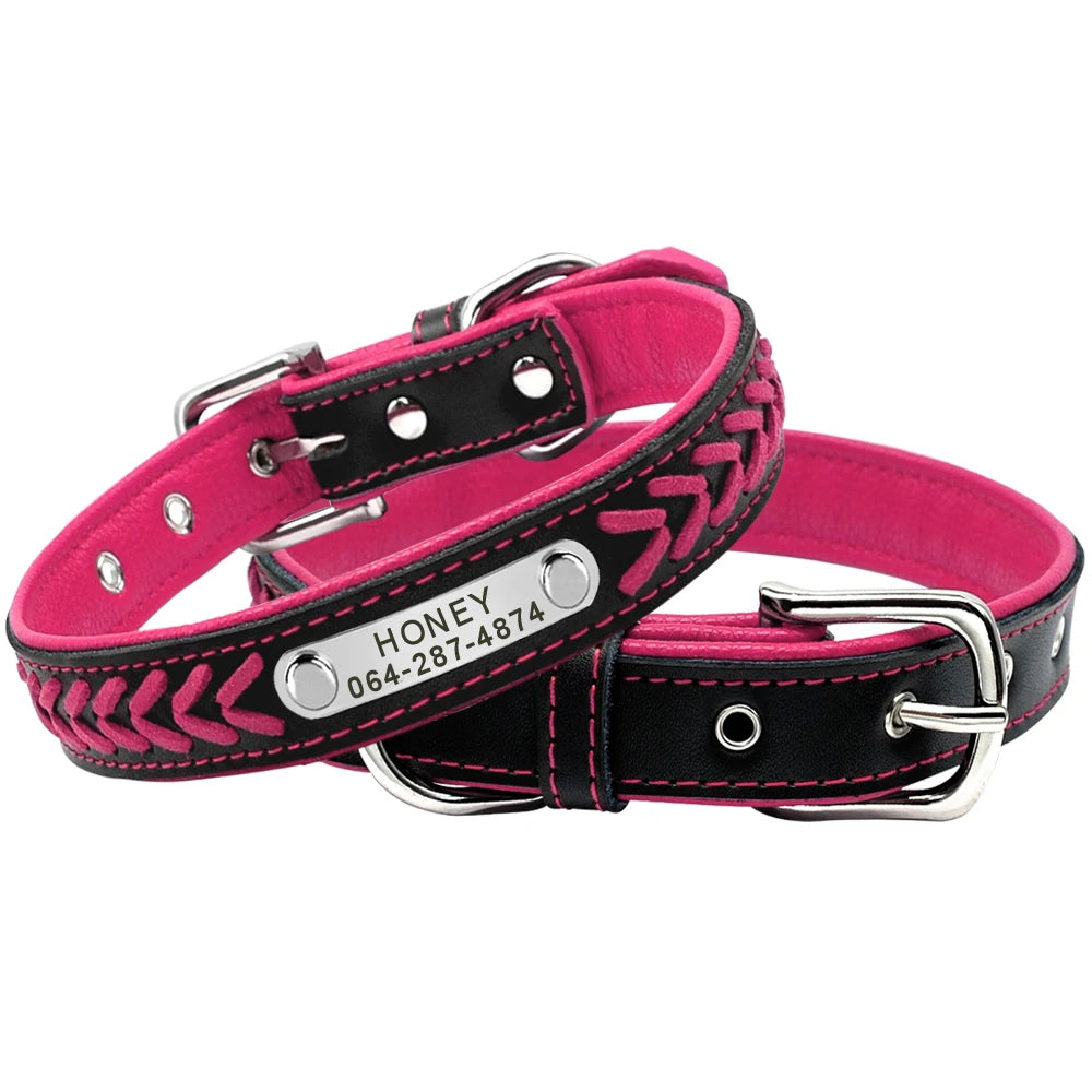 Personalized Pink & Black Dog Collar with Name & Phone Number