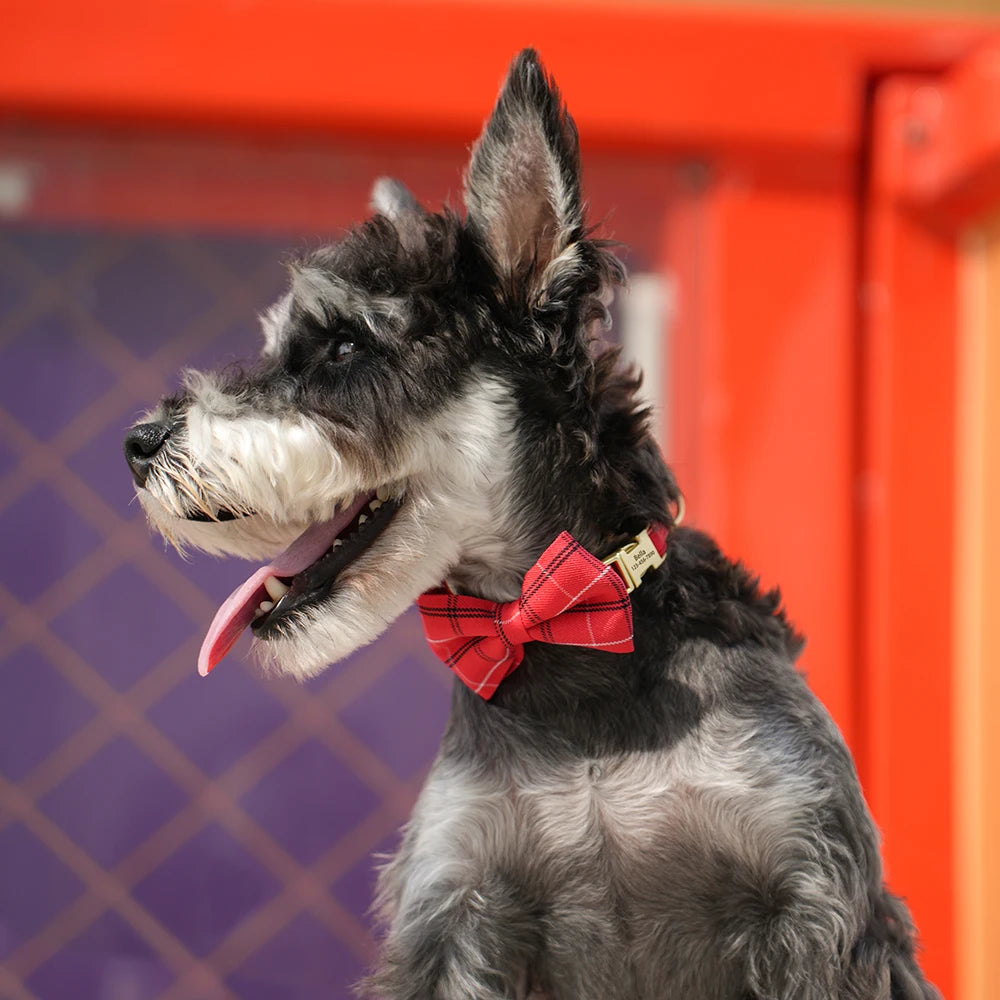 Personalized Plaid Dog Collar with Bow Tie – Custom Name & Phone Number ID Collar