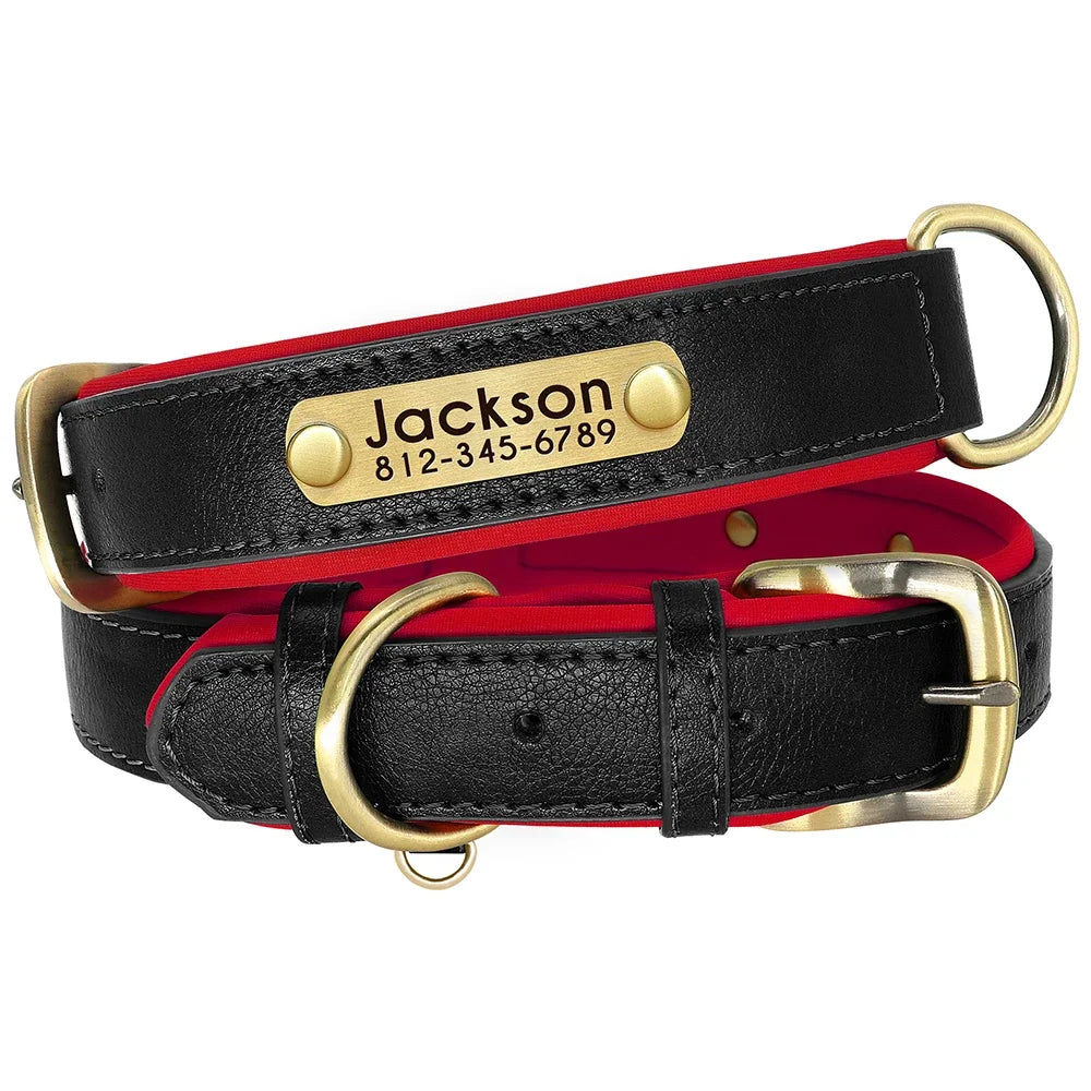 Personalized Green Leather Dog Collar with Name & Phone Number