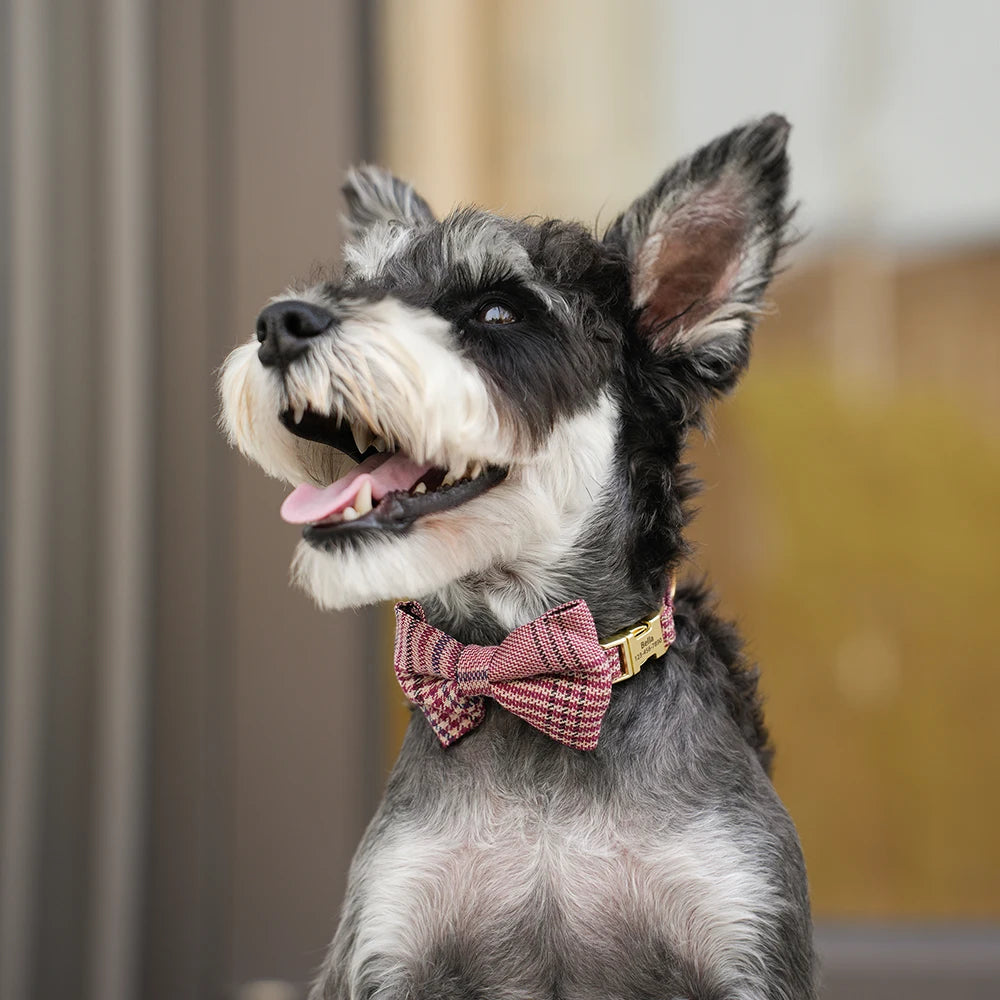 Personalized Plaid Dog Collar with Bow Tie – Custom Name & Phone Number ID Collar
