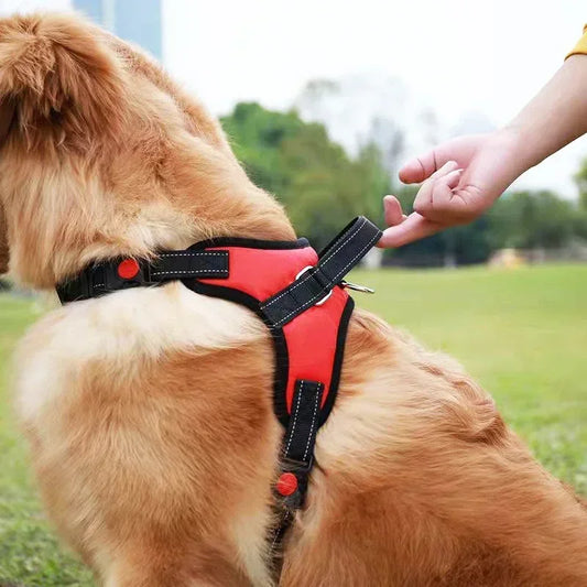 Adjustable Dog Harness – Durable Nylon No-Pull
