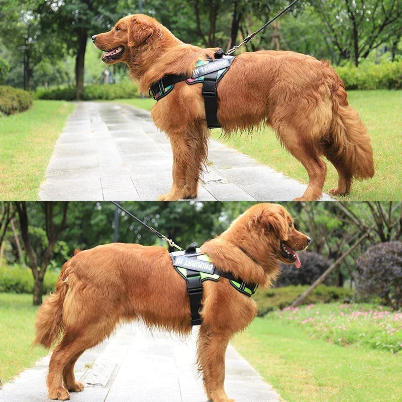 Personalized No Pull Dog Harness - Custom Printed Name Patch & Phone Number
