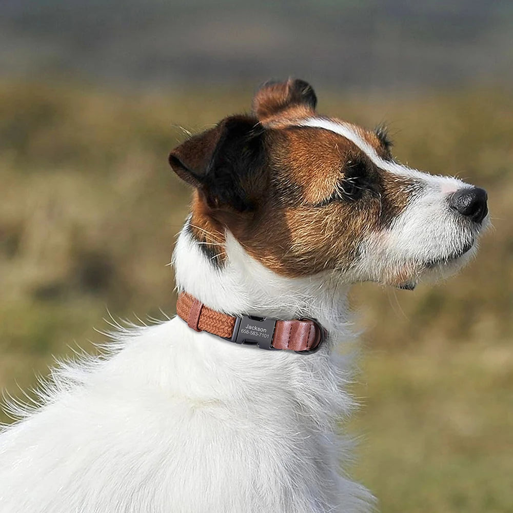 Personalized Braided Nylon Dog Collar