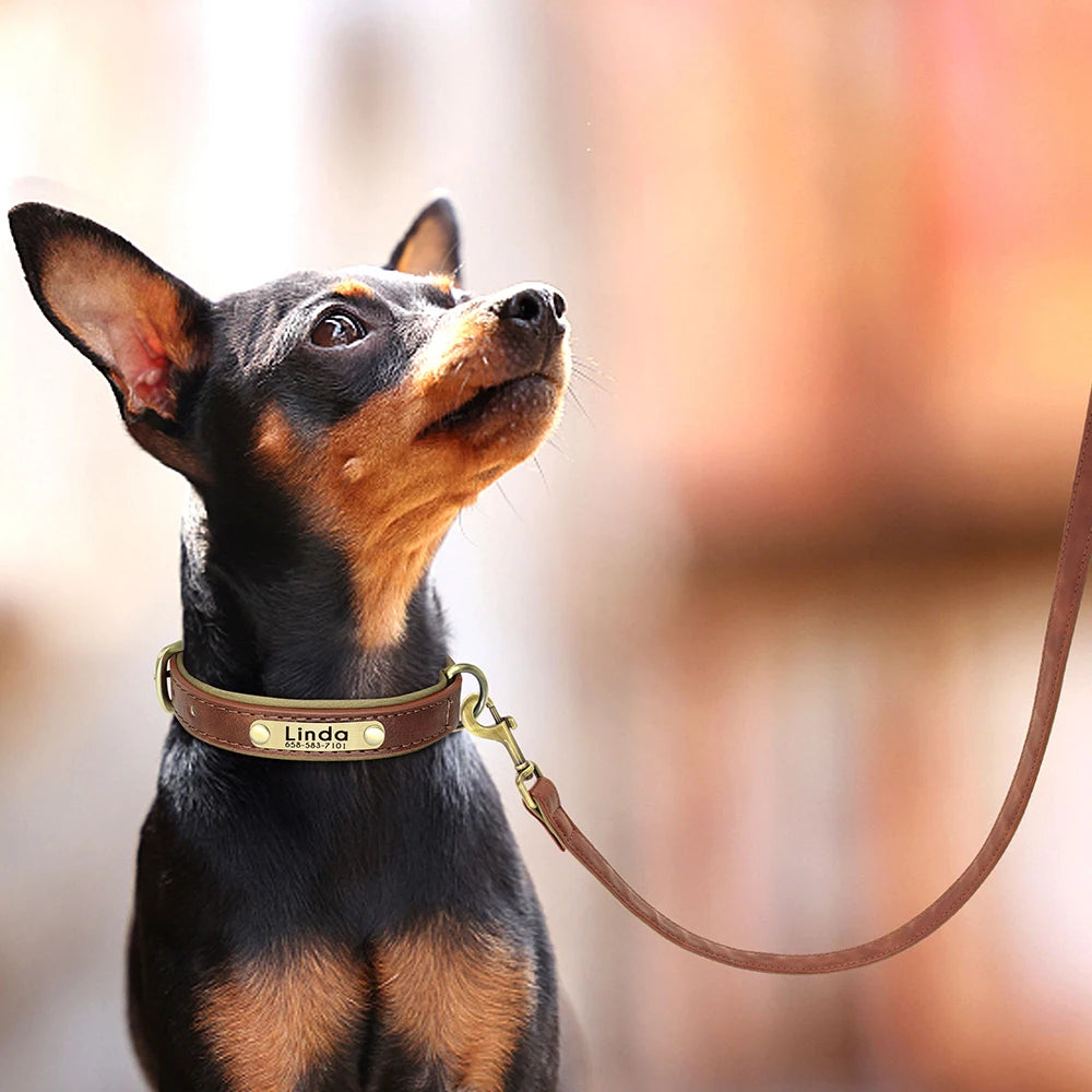 Personalized Leather Dog Collar & Leash Set