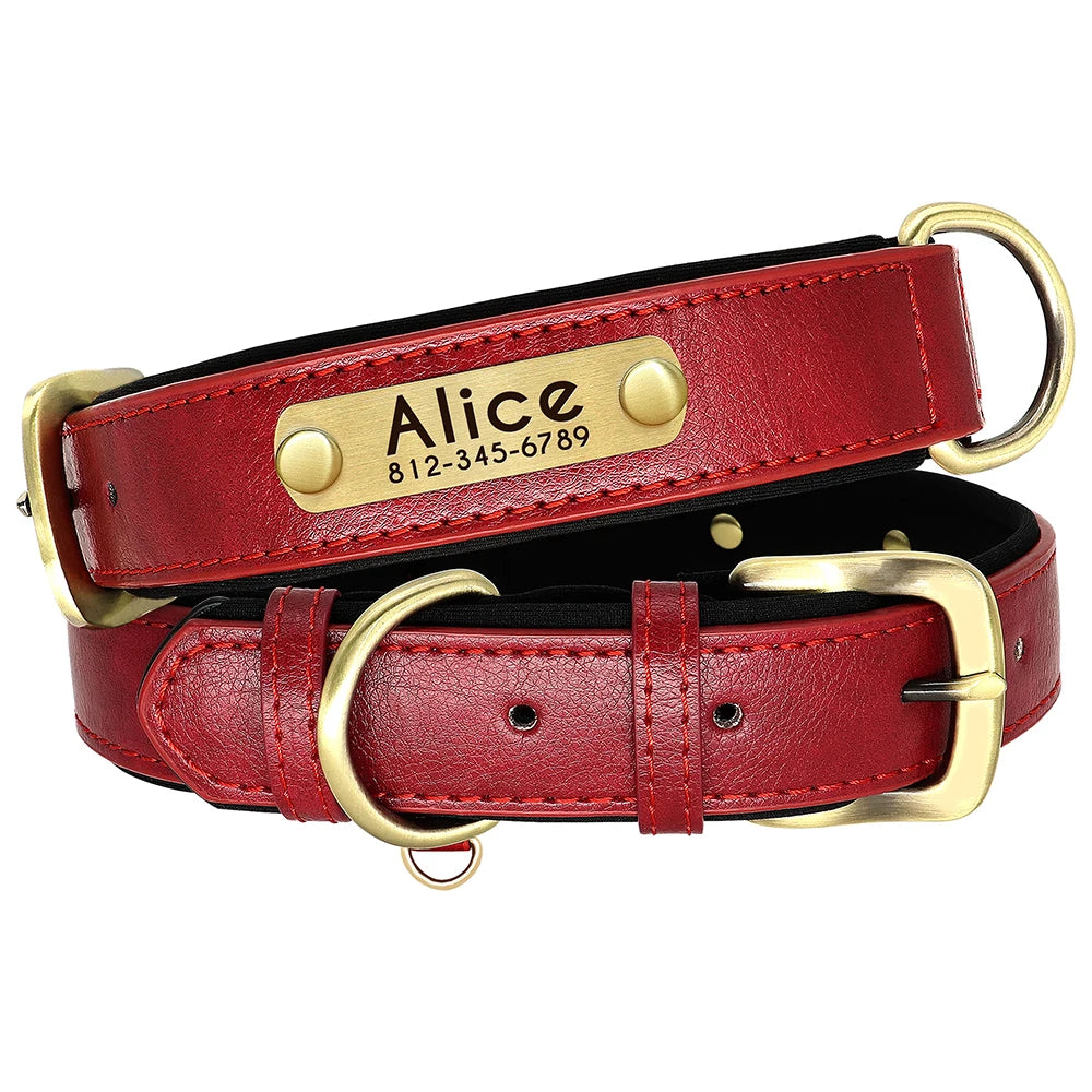 Personalized Leather Dog Collar & Leash Set