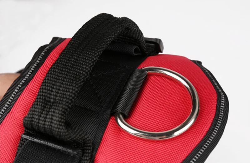 Personalized No Pull Dog Harness - Custom Vest with Name & Phone Number