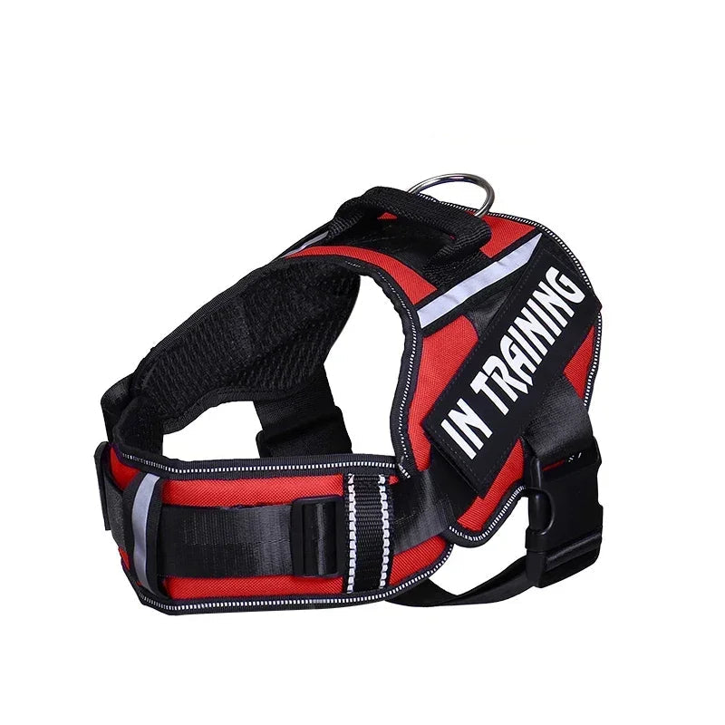 Personalized No Pull Dog Harness - Custom Printed Name Patch & Phone Number