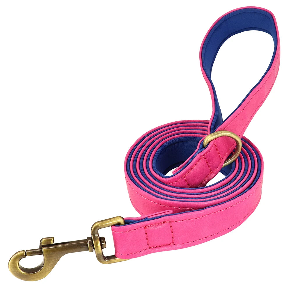 Personalized Leather Dog Collar & Leash Set