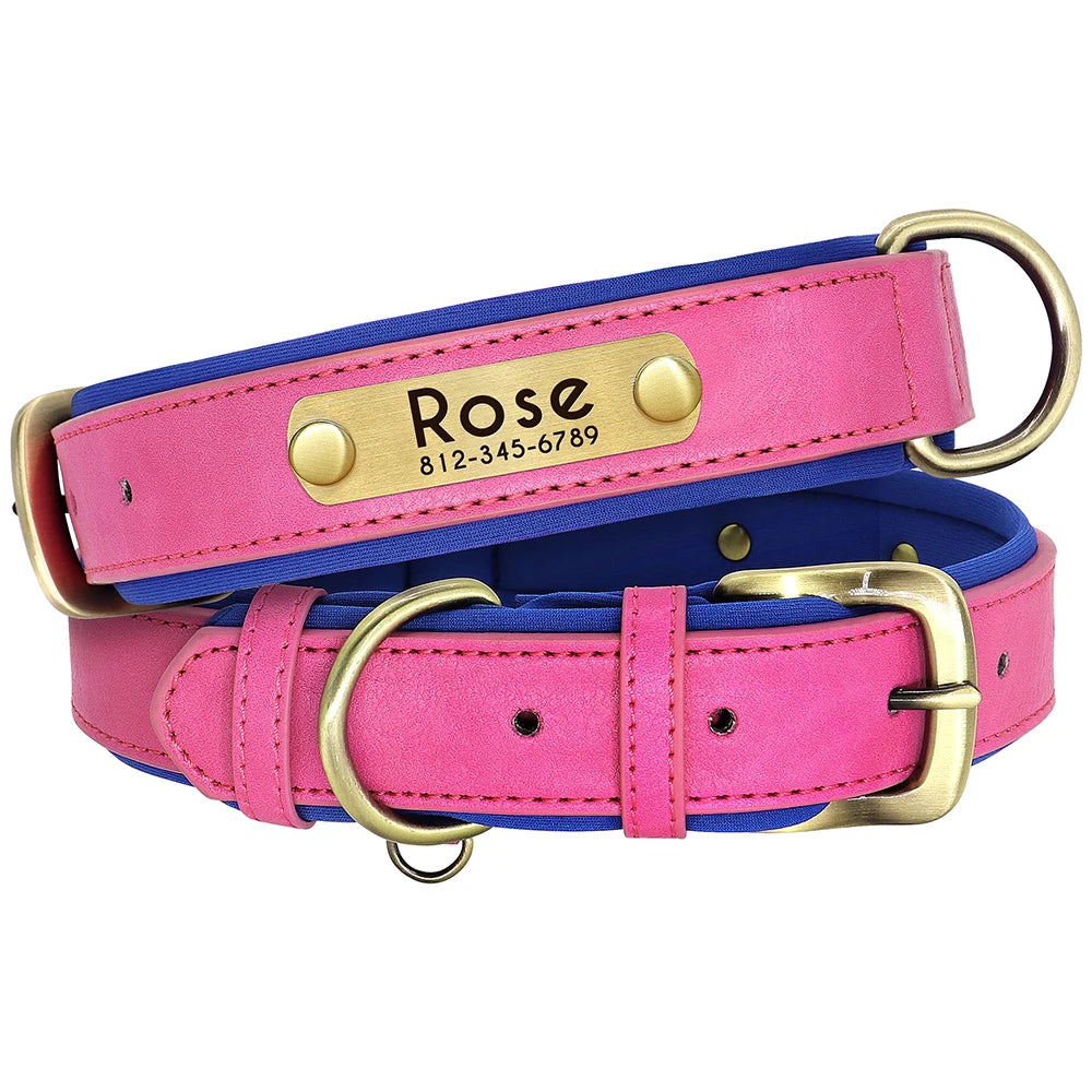 Personalized Leather Dog Collar & Leash Set
