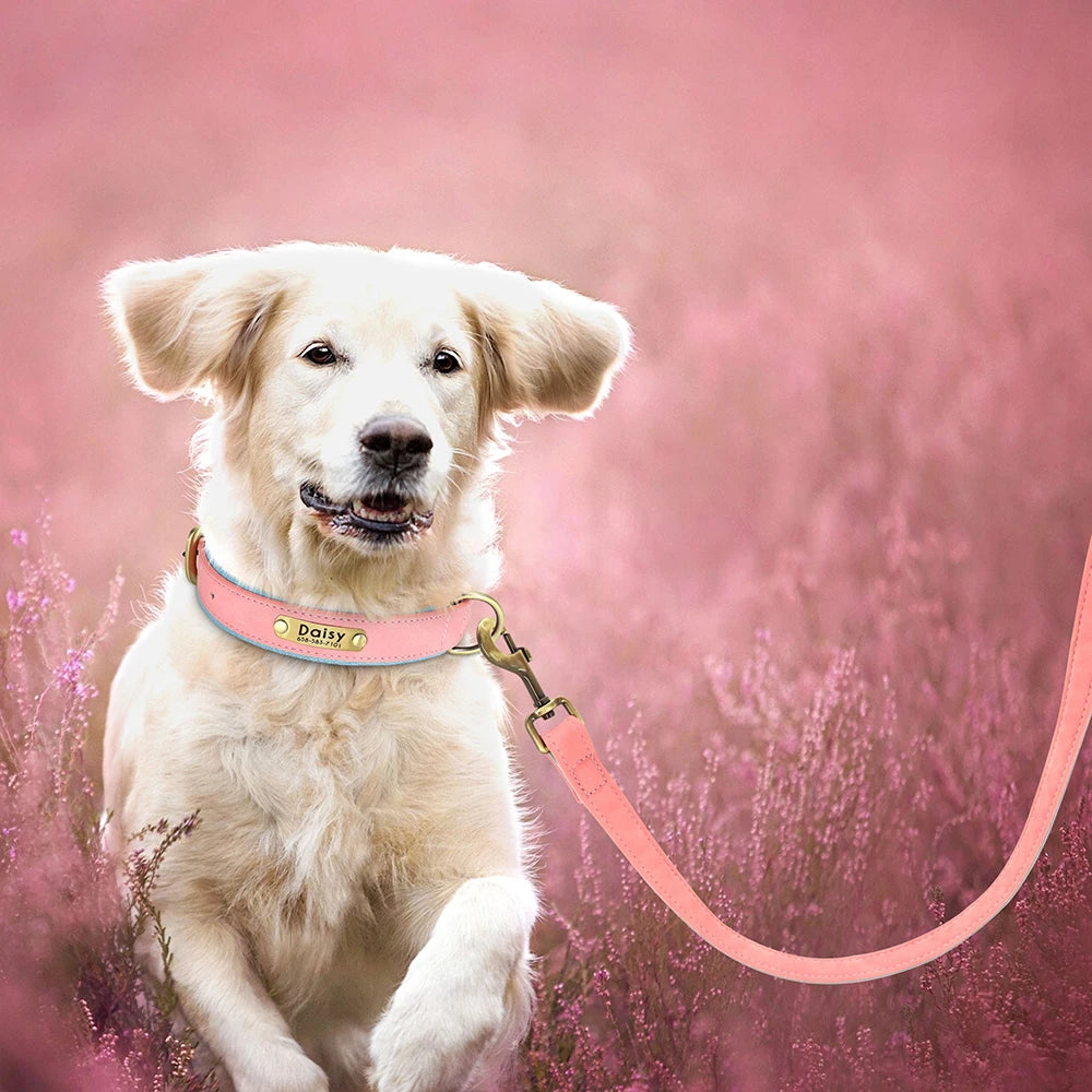 Personalized Leather Dog Collar & Leash Set