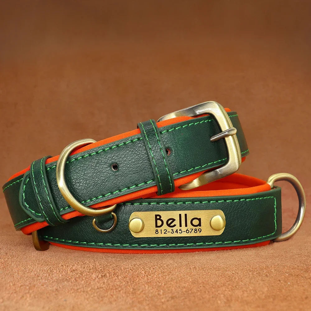 Personalized Green Leather Dog Collar with Name & Phone Number