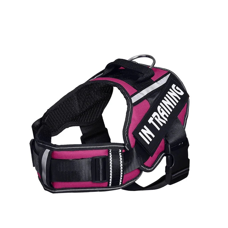 Personalized No Pull Dog Harness - Custom Printed Name Patch & Phone Number