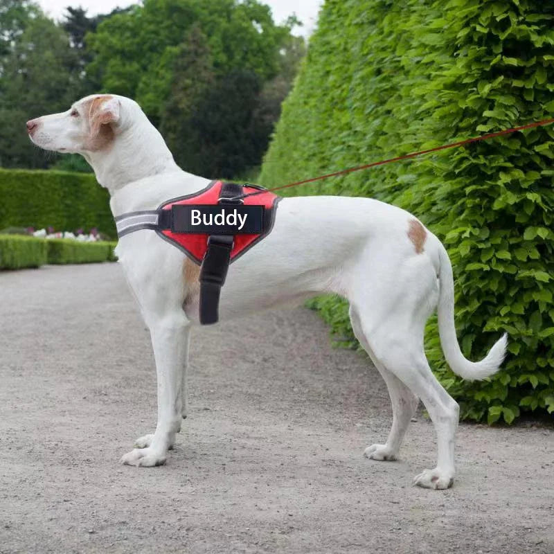 Personalized No Pull Dog Harness - Custom Vest with Name & Phone Number