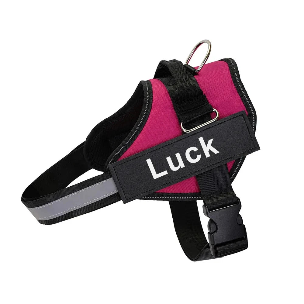 Personalized No Pull Dog Harness - Custom Vest with Name & Phone Number