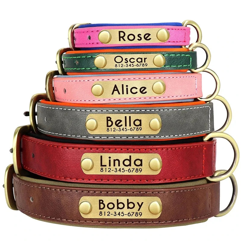 Personalized Green Leather Dog Collar with Name & Phone Number