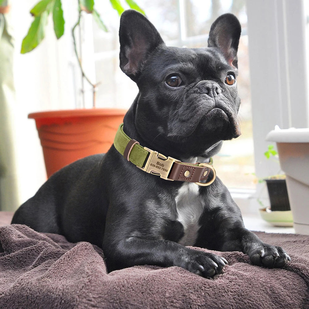 Personalized Dog Collar with Name and Phone Number