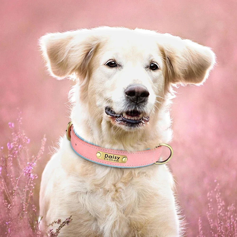 Personalized Green Leather Dog Collar with Name & Phone Number