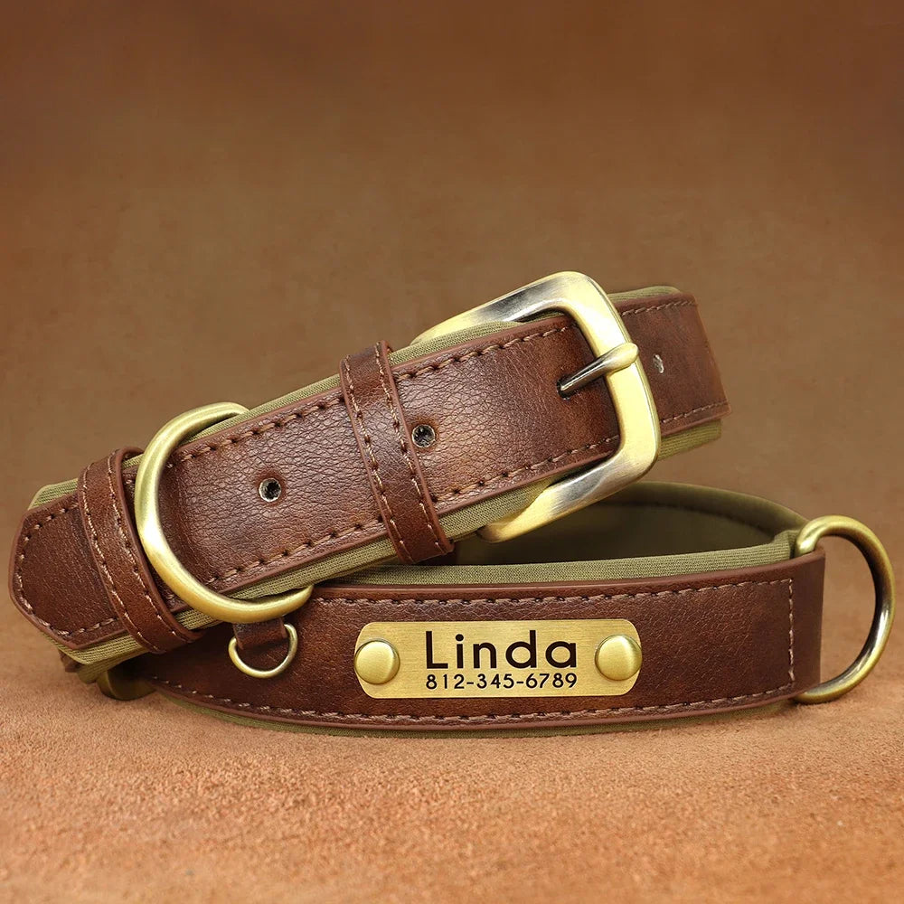 Personalized Green Leather Dog Collar with Name & Phone Number