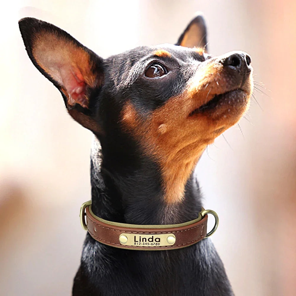 Personalized Green Leather Dog Collar with Name & Phone Number