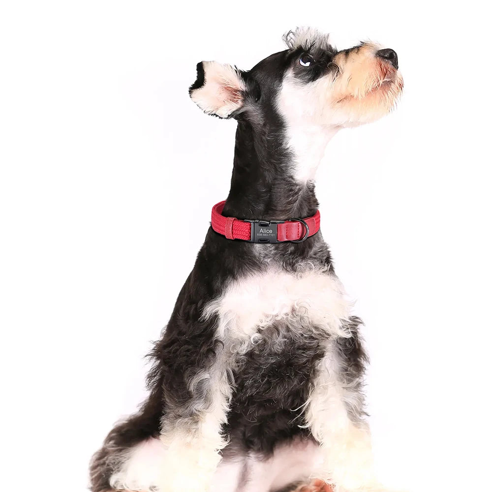 Personalized Braided Nylon Dog Collar