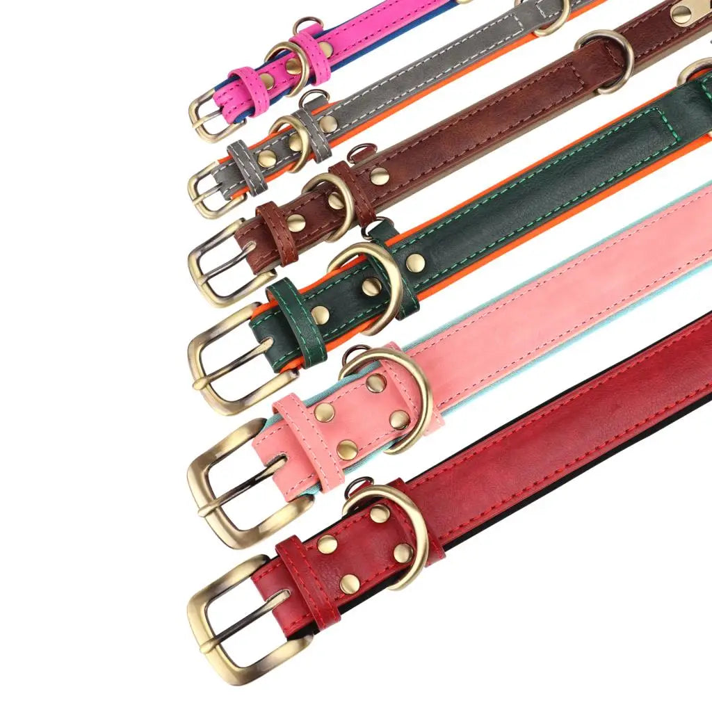 Personalized Leather Dog Collar & Leash Set