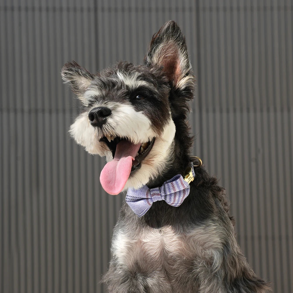 Personalized Plaid Dog Collar with Bow Tie – Custom Name & Phone Number ID Collar