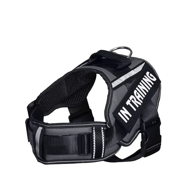 Personalized No Pull Dog Harness - Custom Printed Name Patch & Phone Number