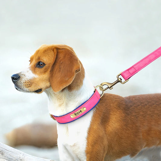Personalized Leather Dog Collar & Leash Set