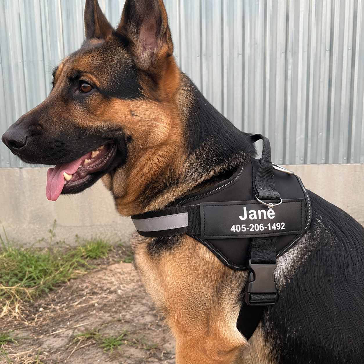 Personalized No Pull Dog Harness - Custom Vest with Name & Phone Number