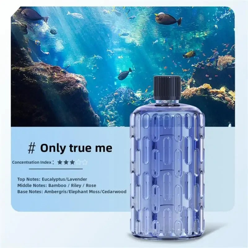 Aroma Diffuser Humidifier Essential Oil Fragrance Machine