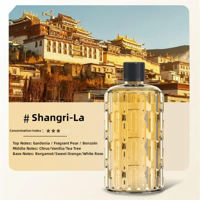 Aroma Diffuser Humidifier Essential Oil Fragrance Machine